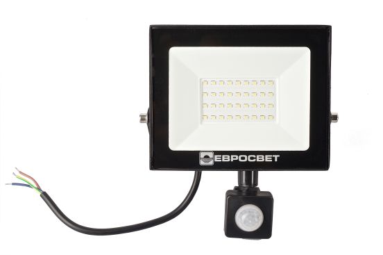 Прожектор светодиодный ЕВРОСВЕТ 30Вт с датчиком движения EV-30-504D 6400К, фото 3