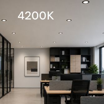 Світильник точковий врізний Євросвітло 24Вт коло LED-R-300-24 4200К чорний, фото 5