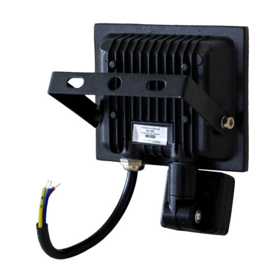 Прожектор светодиодный EVROLIGHT 10Вт с датчиком движения EV-10D 6400К, фото 2