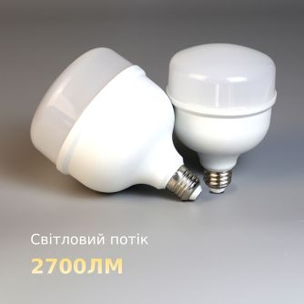 Лампа LED высокомощная Євросвітло EVS-01 30Вт 6400К E27, фото 3